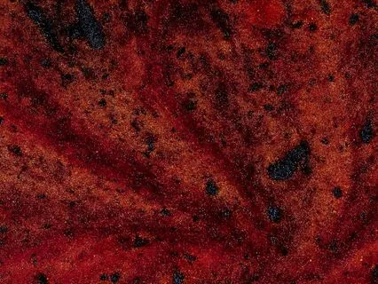 Technical Support • What Is A Demon • Music • V3.3