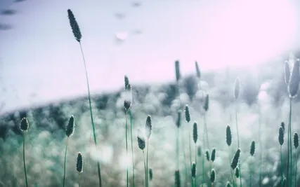 Techniques For Overcoming Stress, Anger, And Anxiety