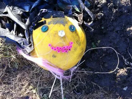 Ted The Shed, Chapter 18 - Top Plot