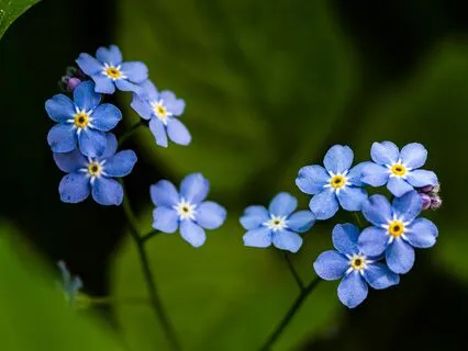 Ted The Shed, Chapter 32 - Sir Lazarus