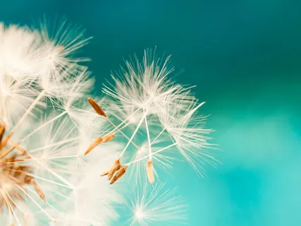 Tema Trygghet - liggande guidad meditation