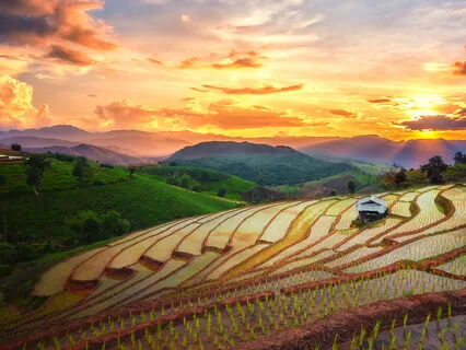 Tema Tydlighet - liggande guidad meditation