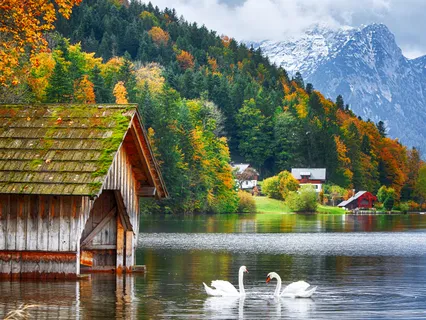 Tema Visdom - liggande guidad mediation