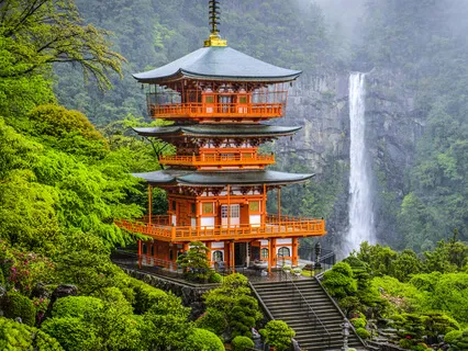 Temple In The Forest