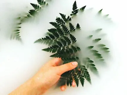 Nine Divine Days: Day 6. The Healer