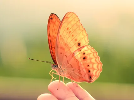 Nine Divine Days: Day 5. The Crone