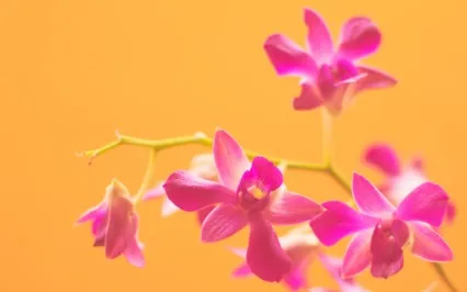 Ten Empowering Questions To Reset