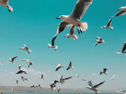 Abundance Meditation For Prosperity And Clarity