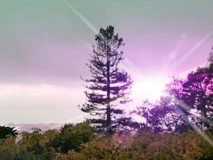 Ten Minute Grounding iRest With Jaene