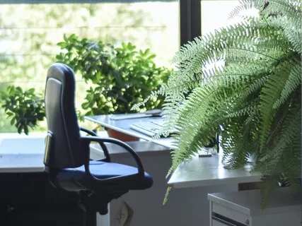 Take A Desk Break (10-Minute Meditation For Office Workers)
