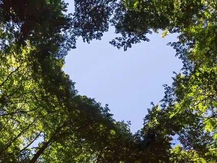 Ten Minute Soothing Self-Love Meditation