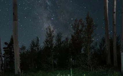 Ten Minutes To Fall Asleep