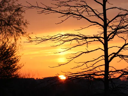 10 Minutes To Start The Day With Joy And Equanimity