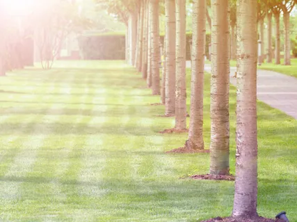 Ten Tips To Help Us Cope During A Pandemic