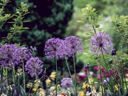 Tend To Your Confidence Garden