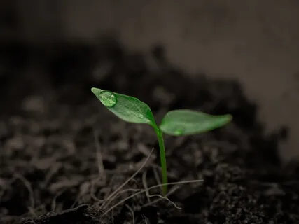 Tender & Fierce With Marni Henderson