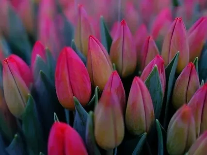 Tender Awareness - A Meditative Prayer 