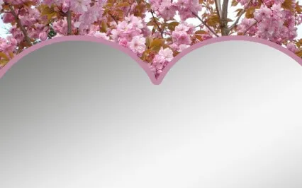 Tender Heart For Others