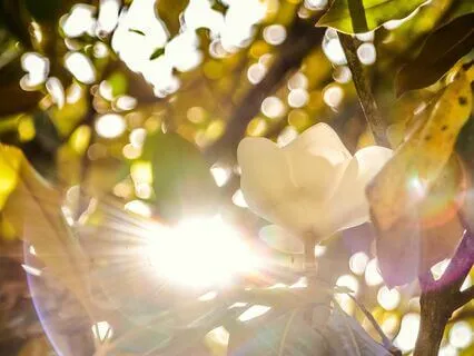 Cultivate Authentic Self Love