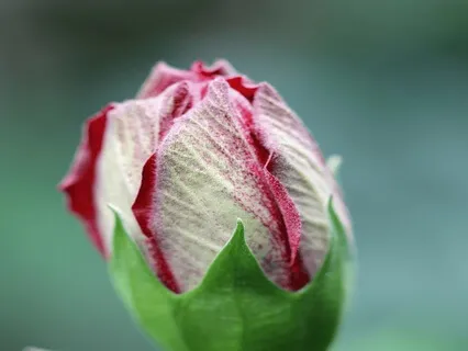 Tenderness To Love The Wounded Child