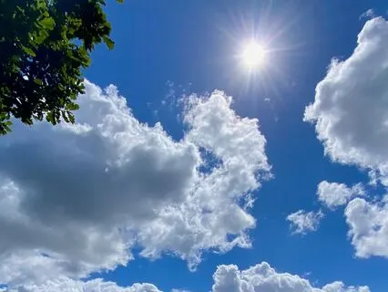 Tending And Restoring The Nervous System