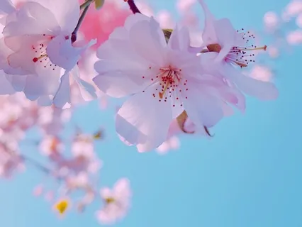 Spring Equinox Meditation: Tending The Grove