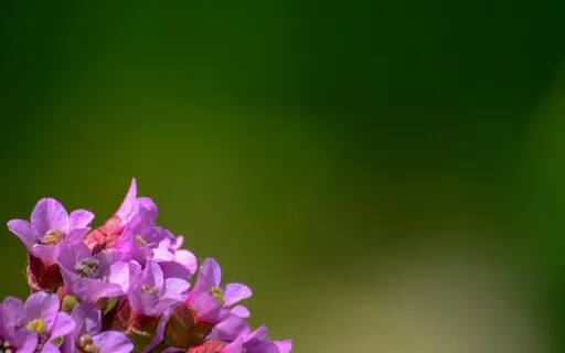 Tending To Our Spiritual Needs