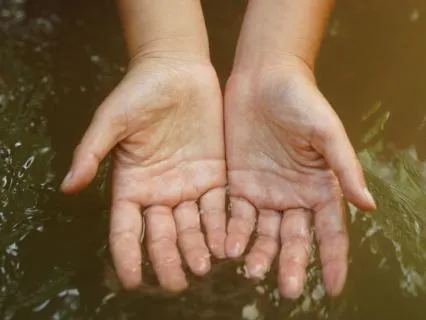 Tending To The Heart | Creating Space & Letting Go