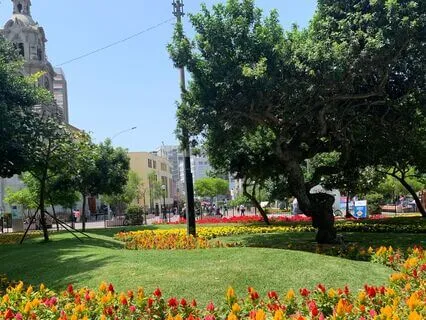 Tending To The Light Within