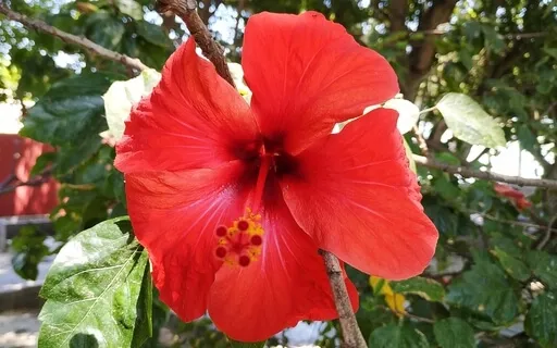 Tending To The Womb Space