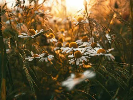 Tending To Your Precious Self