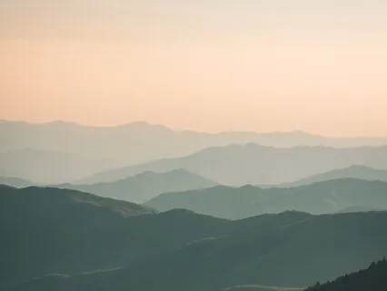 Tending Your Trauma - Deep Orienting Practice