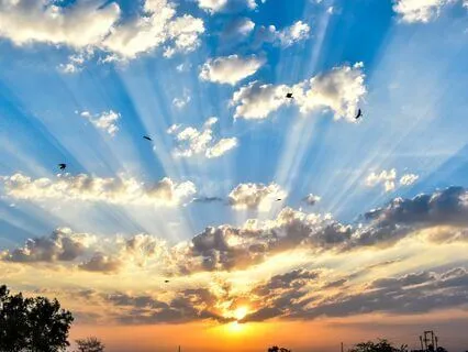 Tending Your Trauma - Working With Body Numbness