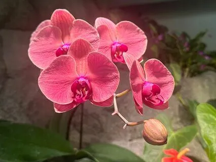 Tense & Release Meditation