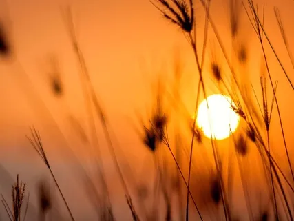 Tension Between Friends