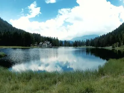 Tension Headache Relief | Lake Sounds & Birdsong