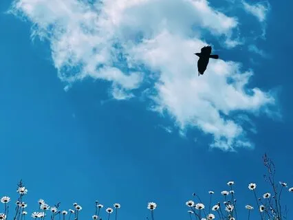 Tension Release And Relaxation