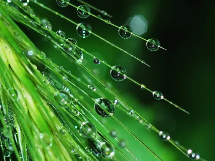 Tension Release Body Scan