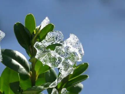 Tension Release Using A Prop
