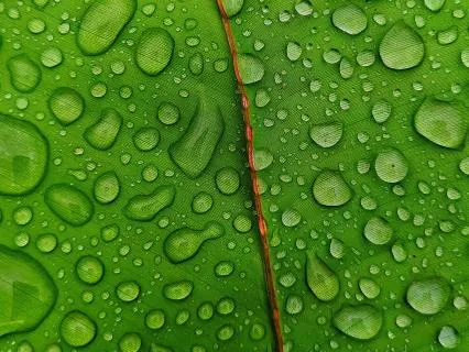 Tension Release: Whole Body