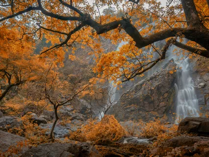 Terms Of Life - The Explanation Of My Lectures