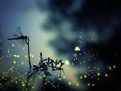 Terra (Earth) And Aqua (Water) Koshi Chimes