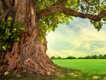 Terra (Earth) Koshi Chime For Meditation