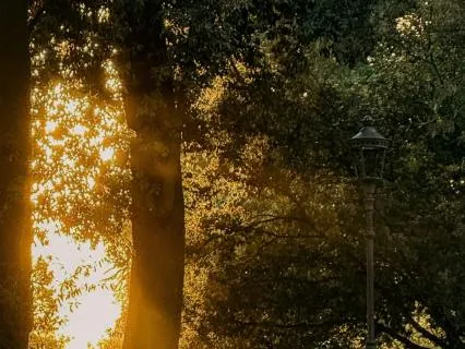 Terra Koshi Chime for Sleep (8 Hour Version)