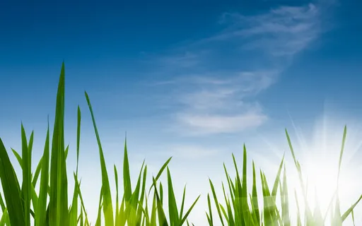 Terra Wonder Terra 432Hz