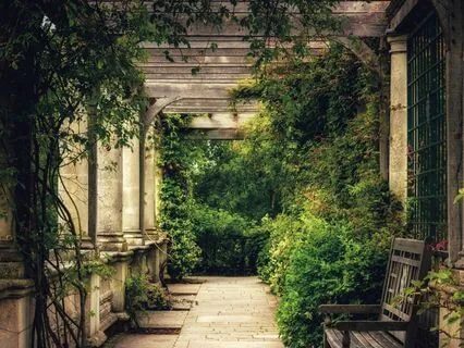 Terrarium Facts For Sleep