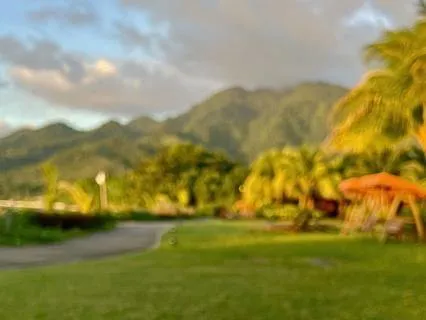 Teya Sound Healing Session In Dominica