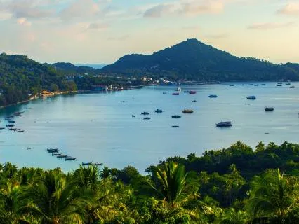 Thailand Jungle In Ko Tao With Melodic Background Music