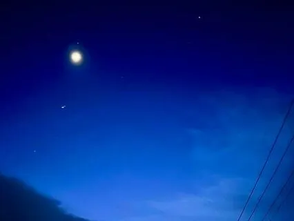 Thank You And Goodnight - Body Scan