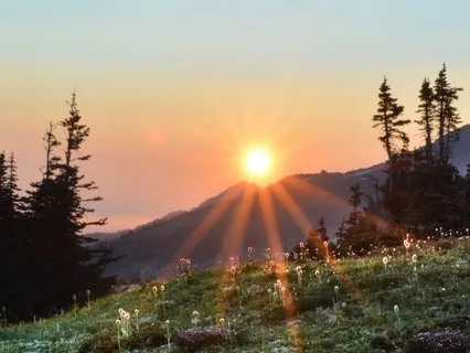 Thank You For Being You (Poem)